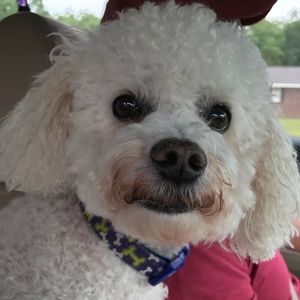 Meet your Posher, Jill